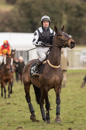 Race 6 - The Open Maiden (16 of 100).jpg