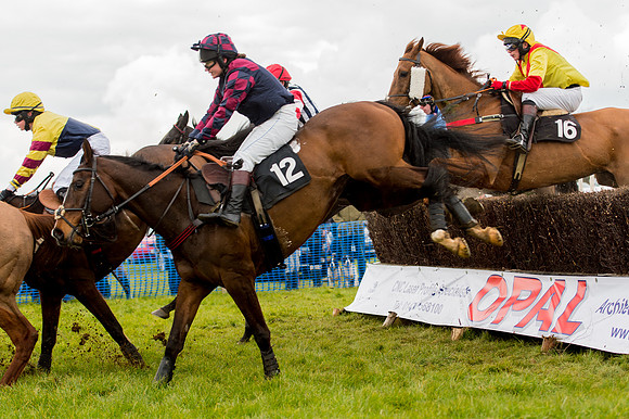 Race 2 - Novice and Veterans   (59 of 101).jpg