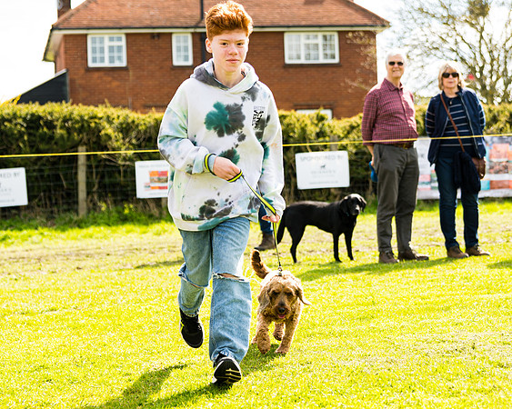 Dog show etc (75 of 157)
