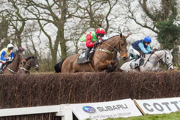 Race 6 - Open Maiden Div 2 (58 of 97).jpg
