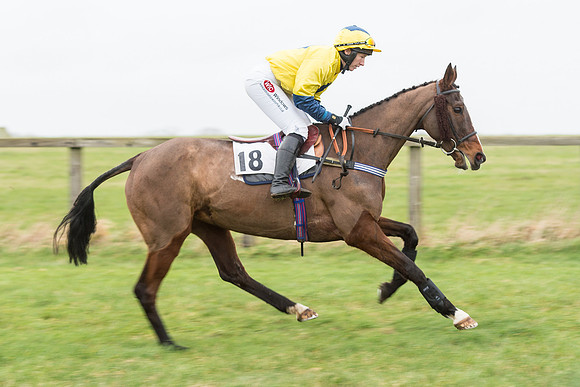 Race 7 - Open Maiden (18 of 131).jpg