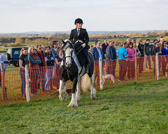 Side Saddle dash  (40 of 170)