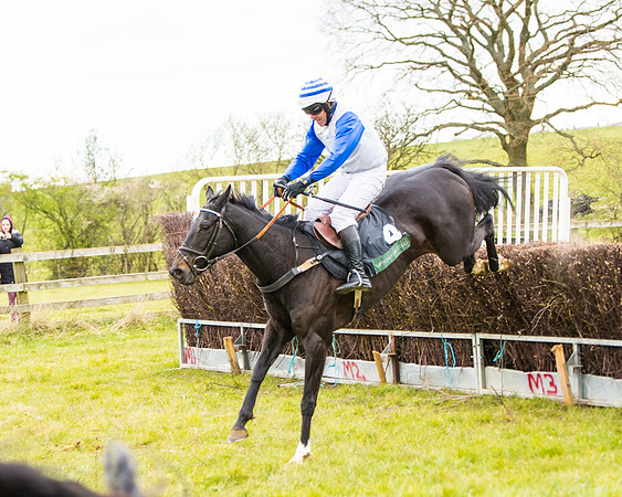 Race 6 - 6 year old and over Maiden 2m4f (44 of 62)