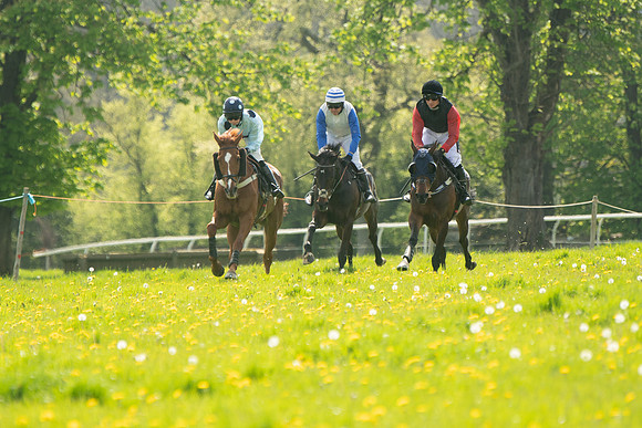 Race 2 - Veteran Horse  (51 of 82)