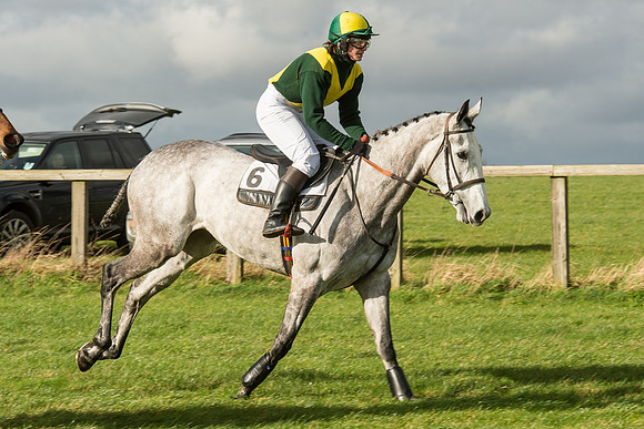 Race 2 - Young Horse Maiden (13 of 110).jpg