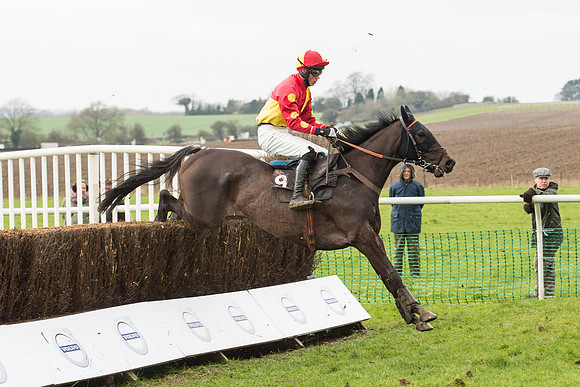 Race 1 - Young Horse Maiden (25 of 50).jpg