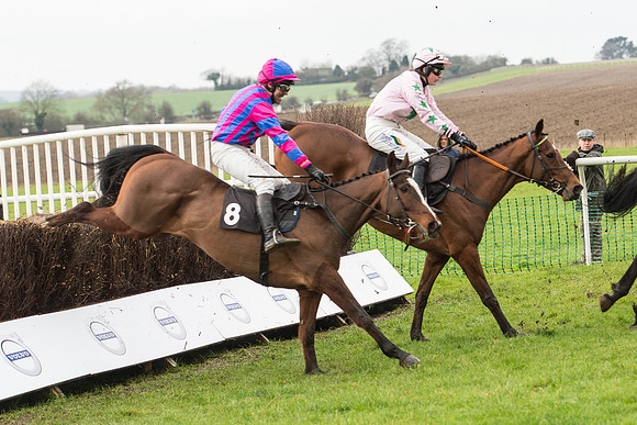Race 1 - Young Horse Maiden (22 of 50).jpg