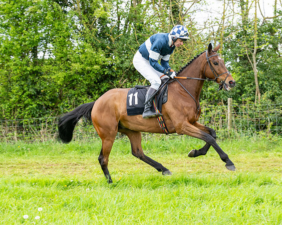 Race 2 - 2M4F Conditions (56 of 195)