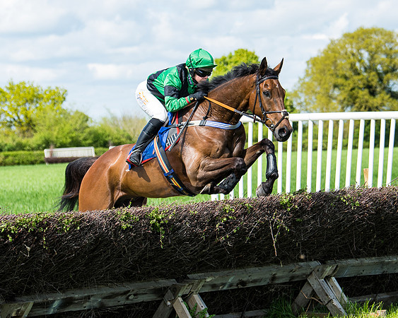 Race 3 - The Ladies open (32 of 104)