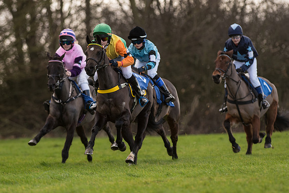Pony Race 1  (27 of 34).jpg