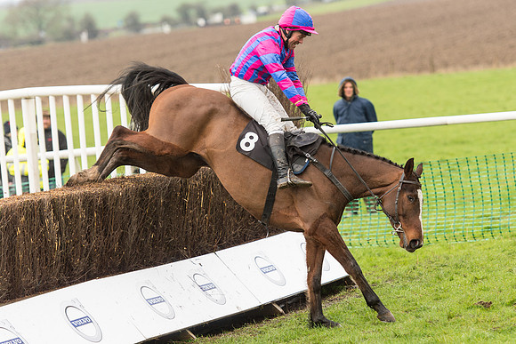 Race 1 - Young Horse Maiden (50 of 50).jpg
