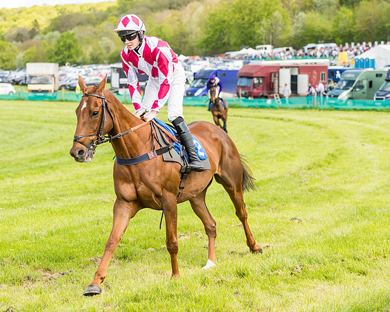 Race 2 - The Restricted Race  (30 of 122)