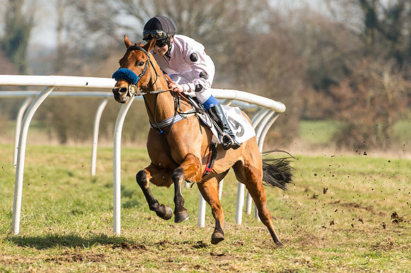 Pony Race 2 - 138 -  (25 of 28).jpg