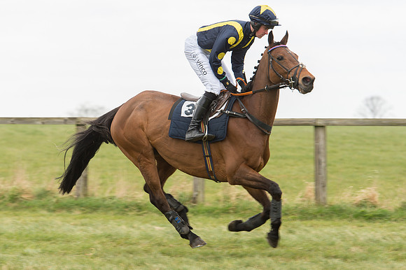 Race 2 - PPORA Novice riders  (55 of 186).jpg