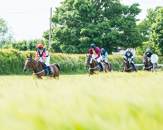 Race 4 - Mixed Open  (209 of 461)
