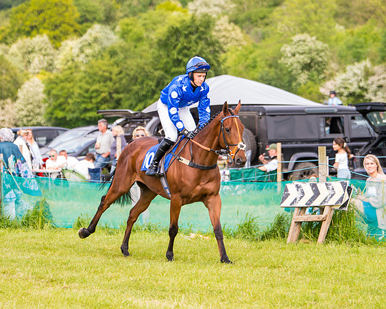 Race 6 - Open Maiden (108 of 346)