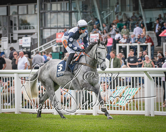 Race 1 - Pointing Pointers Restricted Final (14 of 79)