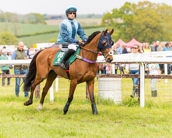 Race 2 - Owner-Trainer Conditions  (29 of 208)