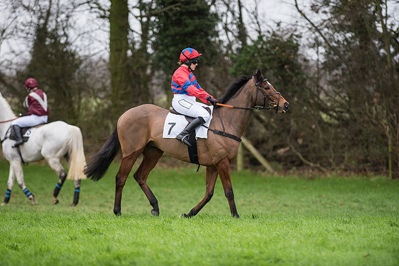 Race 5 - Ladies Open Race (24 of 119).jpg