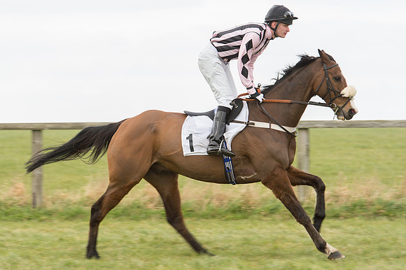 Race 2 - PPORA Novice riders  (61 of 186).jpg