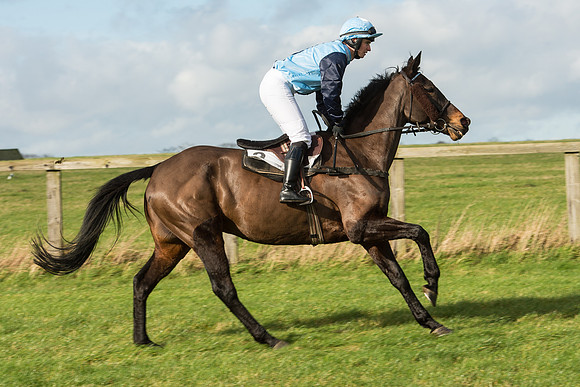 Race 3 - PPORA Members Novice Riders (17 of 84).jpg