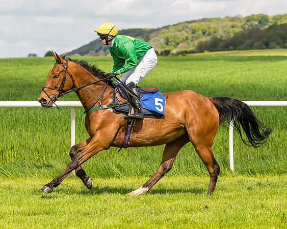 Race 2 - The Restricted Race  (50 of 122)