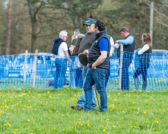 Race 2 - Veteran Horse  (10 of 82)