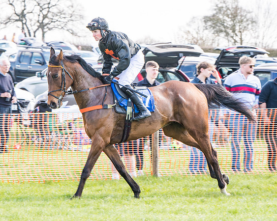 Race 4 - The Warehouse Reit Mixed Open Race  (6 of 124)