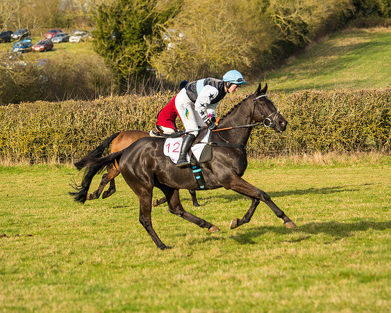 Race 5 - PPORA Conditions 2 - 8 and over  (3 of 156)