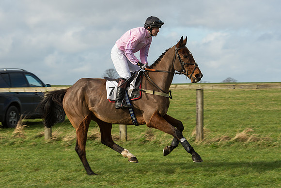 Race 3 - PPORA Members Novice Riders (28 of 84).jpg