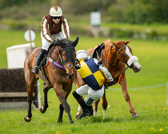 Race 5 - Open Maiden  (53 of 89)