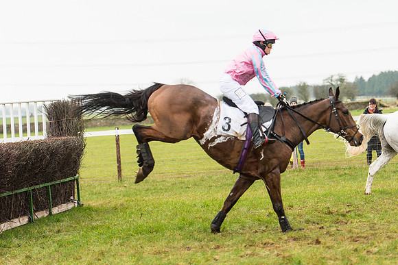 Race 4 - Ladies Open Race (10 of 52).jpg