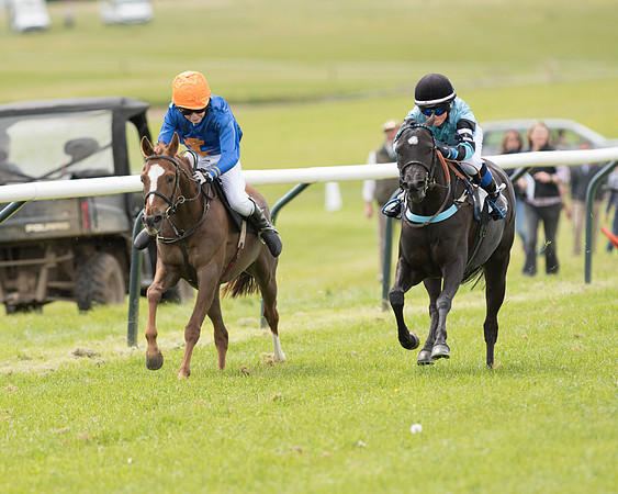 Pony Race - 2 (46 of 77).jpg