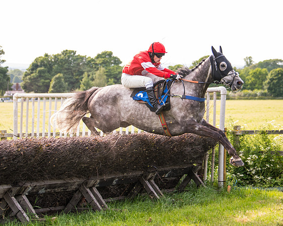 Race 6 - Open Maiden (156 of 346)