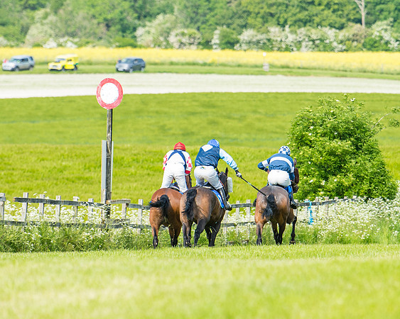 Race 4 - Mixed Open  (329 of 461)