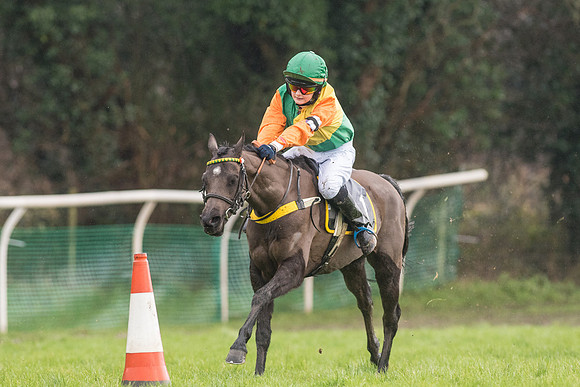 Pony Race 2 -  (9 of 17).jpg