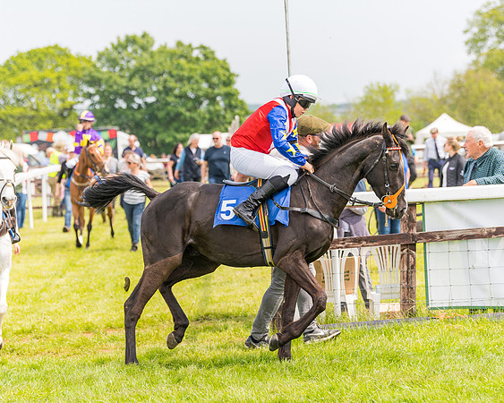 Pony Race 2 - 148cm (27 of 142)