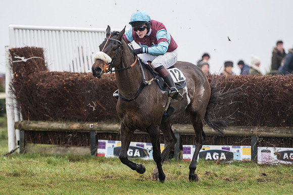 Race 5 - The Intermediate (55 of 59).jpg