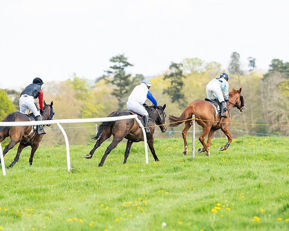 Race 2 - Veteran Horse  (81 of 82)