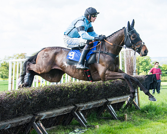 Race 5 - 2m5f Maiden (61 of 144)