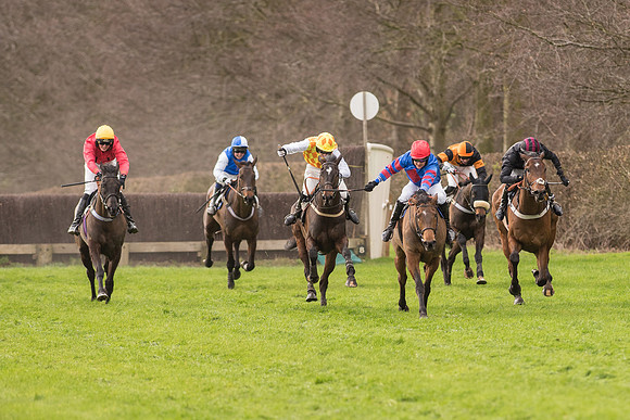 Race 2 - Young Horse Maiden (72 of 110).jpg