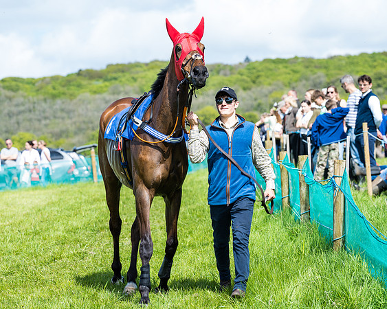 Race 3 - The Ladies open (7 of 104)
