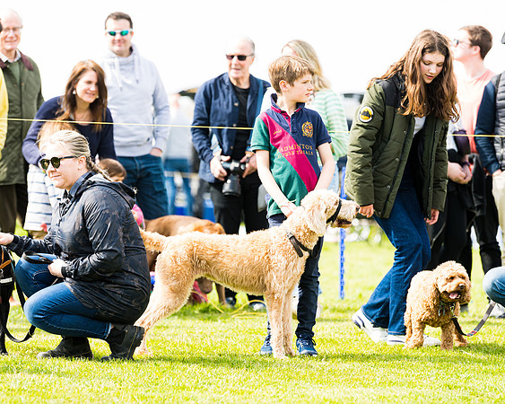Dog show etc (97 of 157)