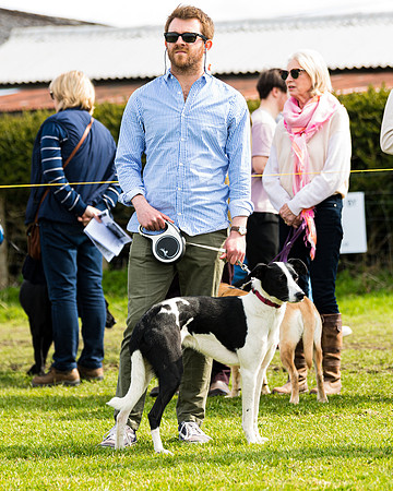 Dog show etc (121 of 157)