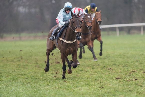 Race 7 - Young Horse Maiden  (46 of 64).jpg