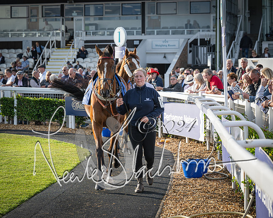 Race 4 - Peretemps Stratford Foxhunters (19 of 168)