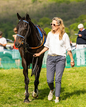 Race 6 - Maiden [2m4f] (13 of 135)