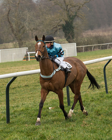 Bicester Ponies-109.jpg