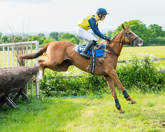 Race 6 - Open Maiden (184 of 346)