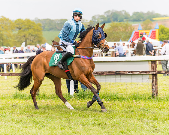 Race 2 - Owner-Trainer Conditions  (30 of 208)
